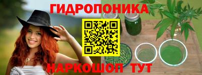 гашик Апрелевка