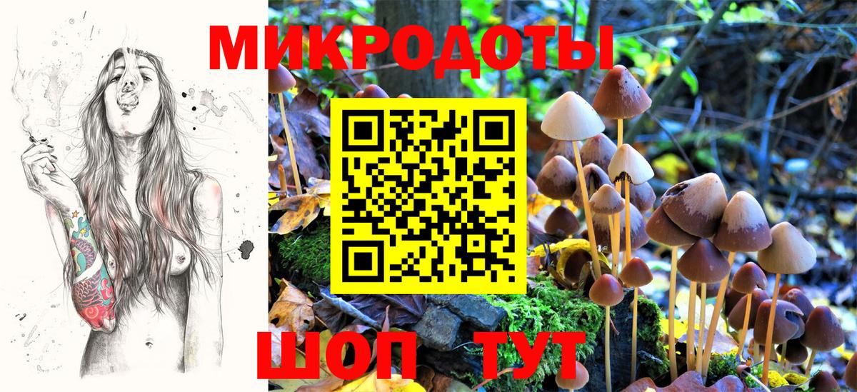 Псилоцибиновые грибы Psilocybine cubensis  Вход с VPN  Северск 