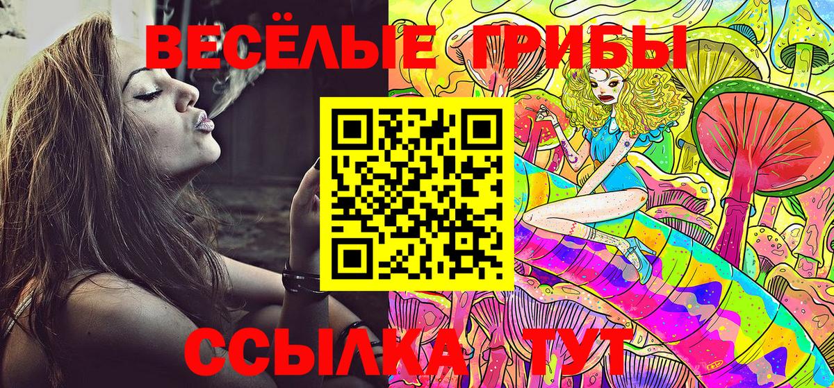 МЕФ  A-PVP  Северск  Кетыч  Кокаин  Гашиш  Вход с VPN  Диски  Мефедрон  Где купить наркотики?  Конопля 