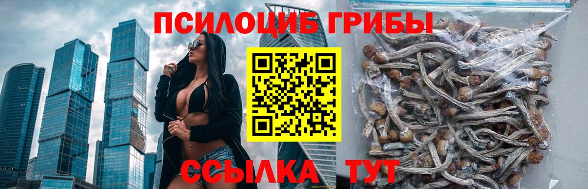 Галлюциногенные грибы MAGIC MUSHROOMS Северск
