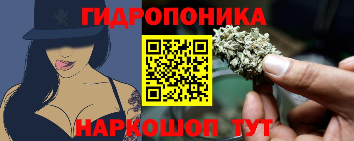 Северск  Каннабис тримм  Каннабис гибрид  Каннабис сатива  Бошки Шишки MAZAR  Вход с VPN 